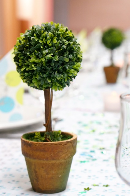 petit buis décoratif Mesa Bella 