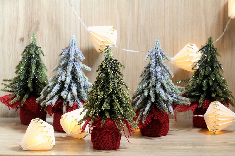 decorations-vegetales-cosy-tradi-3700410475739