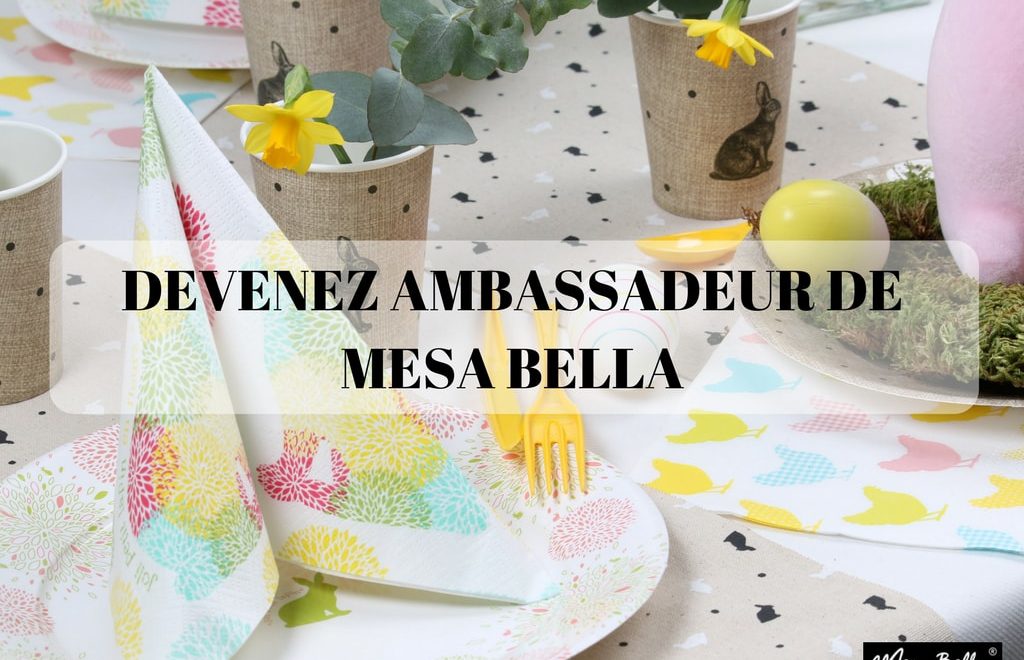 DEVENEZ BLOG PARTENAIRE DE MESA BELLA