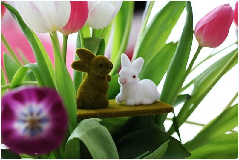 duo de lapin velours