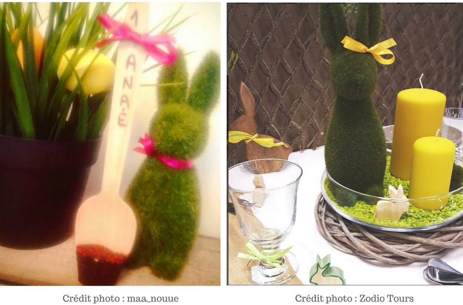 lapin gazon dasn une ambiance naturelle