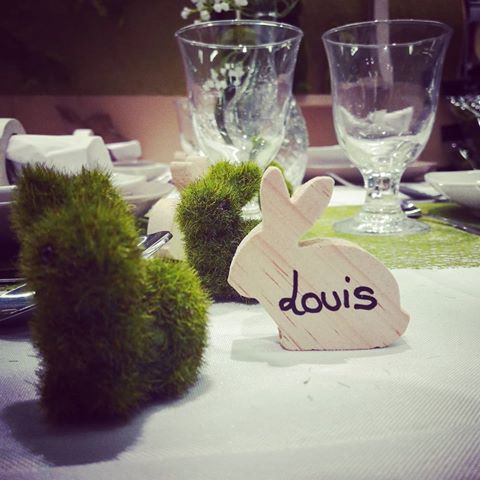 zodio metz lapin assis gazon