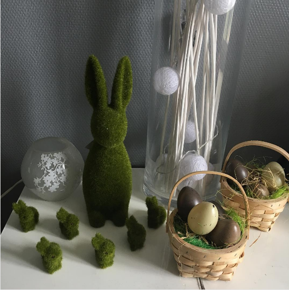 lapin herbe