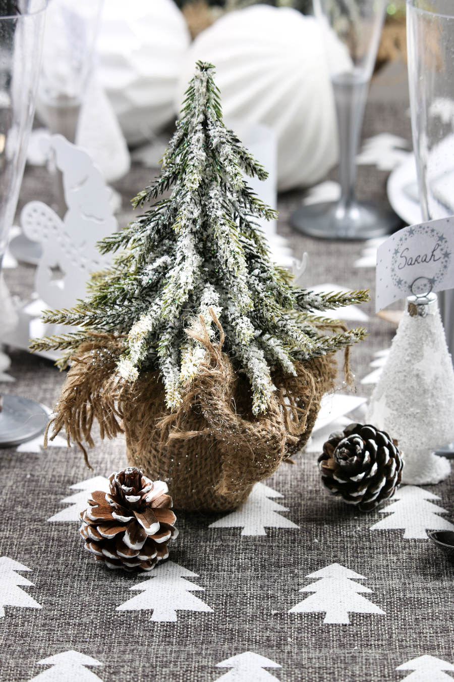 décoration végétale avec les petites sapins Mesa Bella