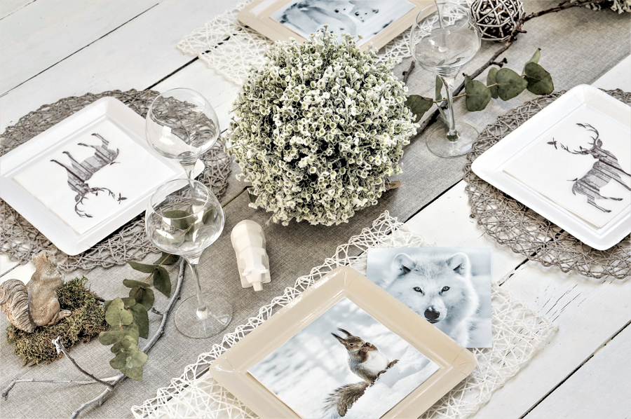 Table grand nord, espace canda