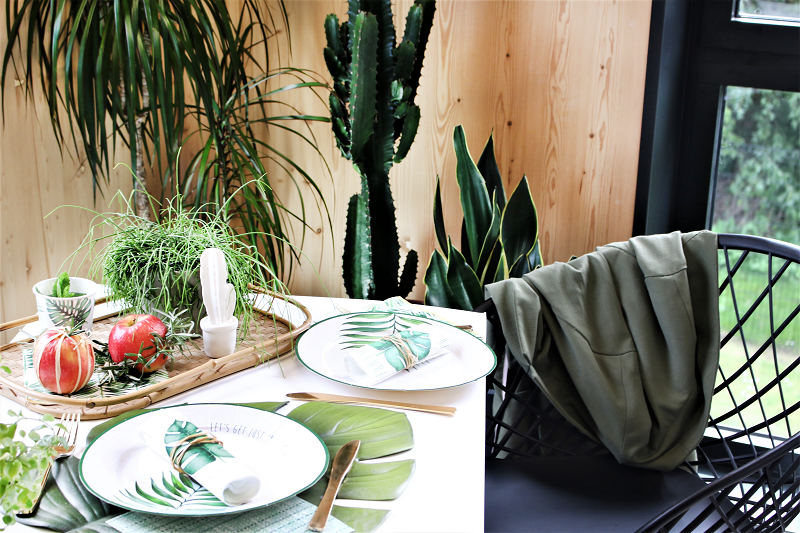 Collection Plant House Mesa Bella