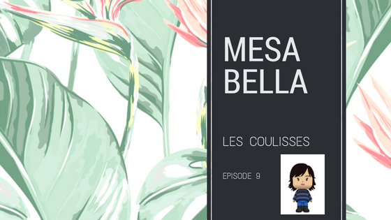 responsable administrative financiere et comptable mesa bella
