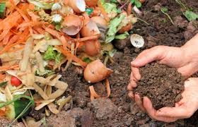 home compost